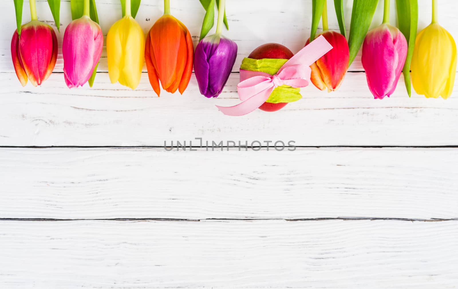 Easter background with multicolored tulips and easter egg on white wood with copy space