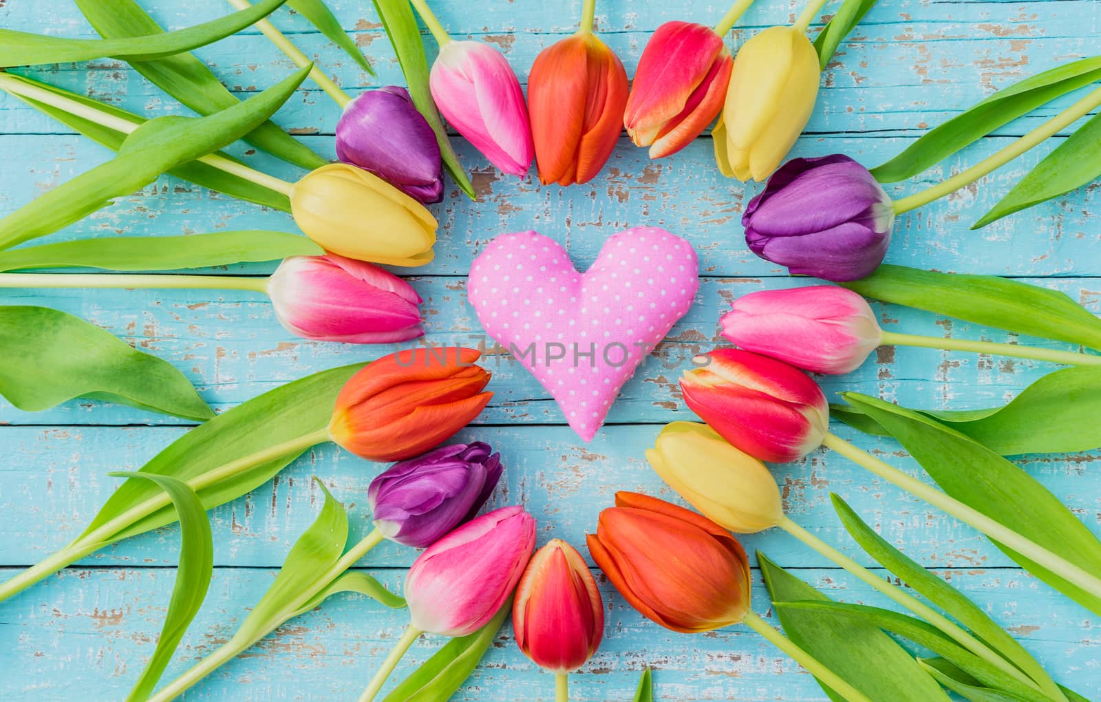 Pink heart shape framed with colorful tulip flowers