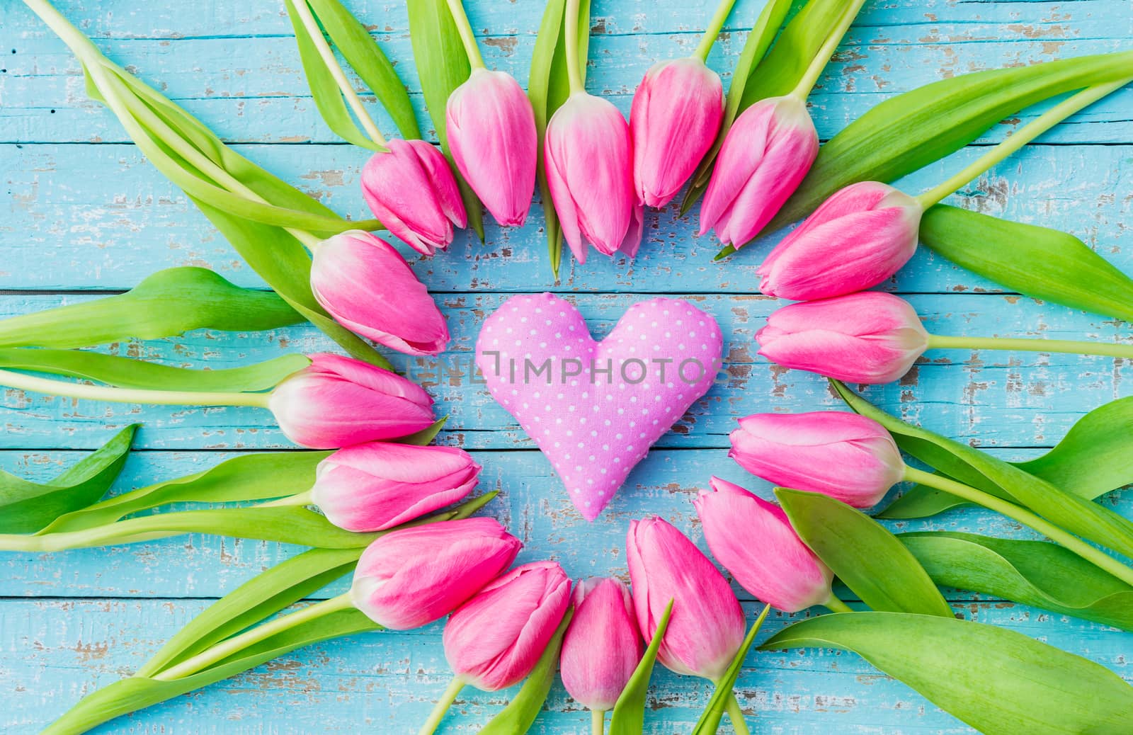 Greeting card for valentines day with pink tulip flowers and heart