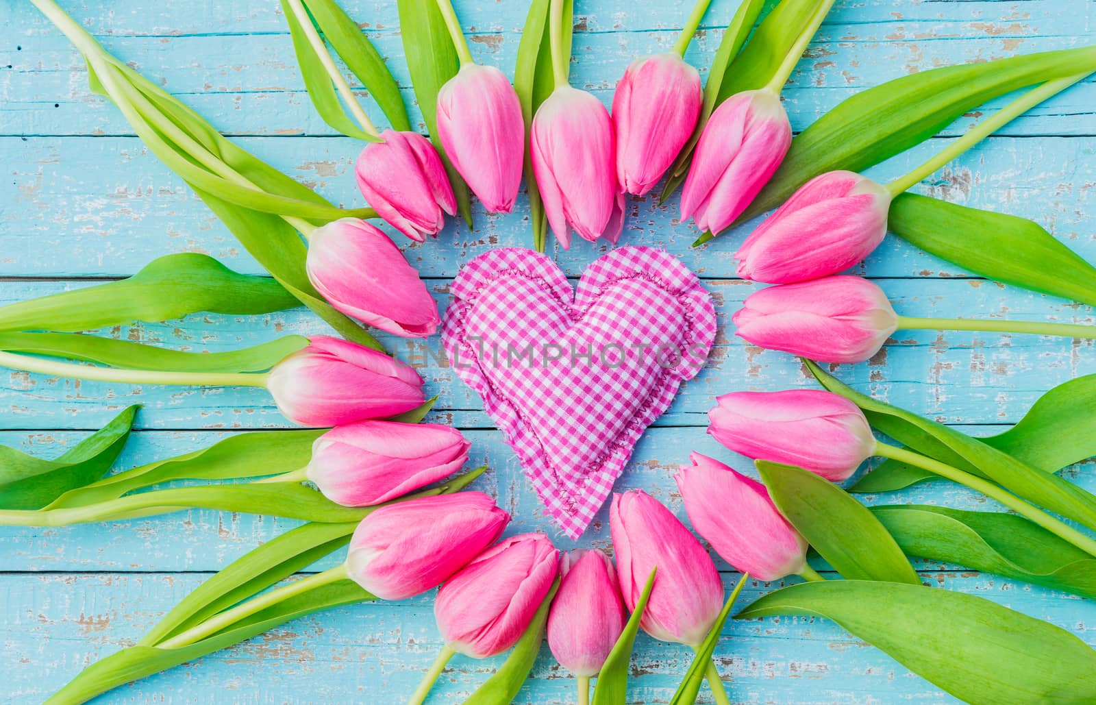 Pink heart and tulip flowers on blue wooden background
