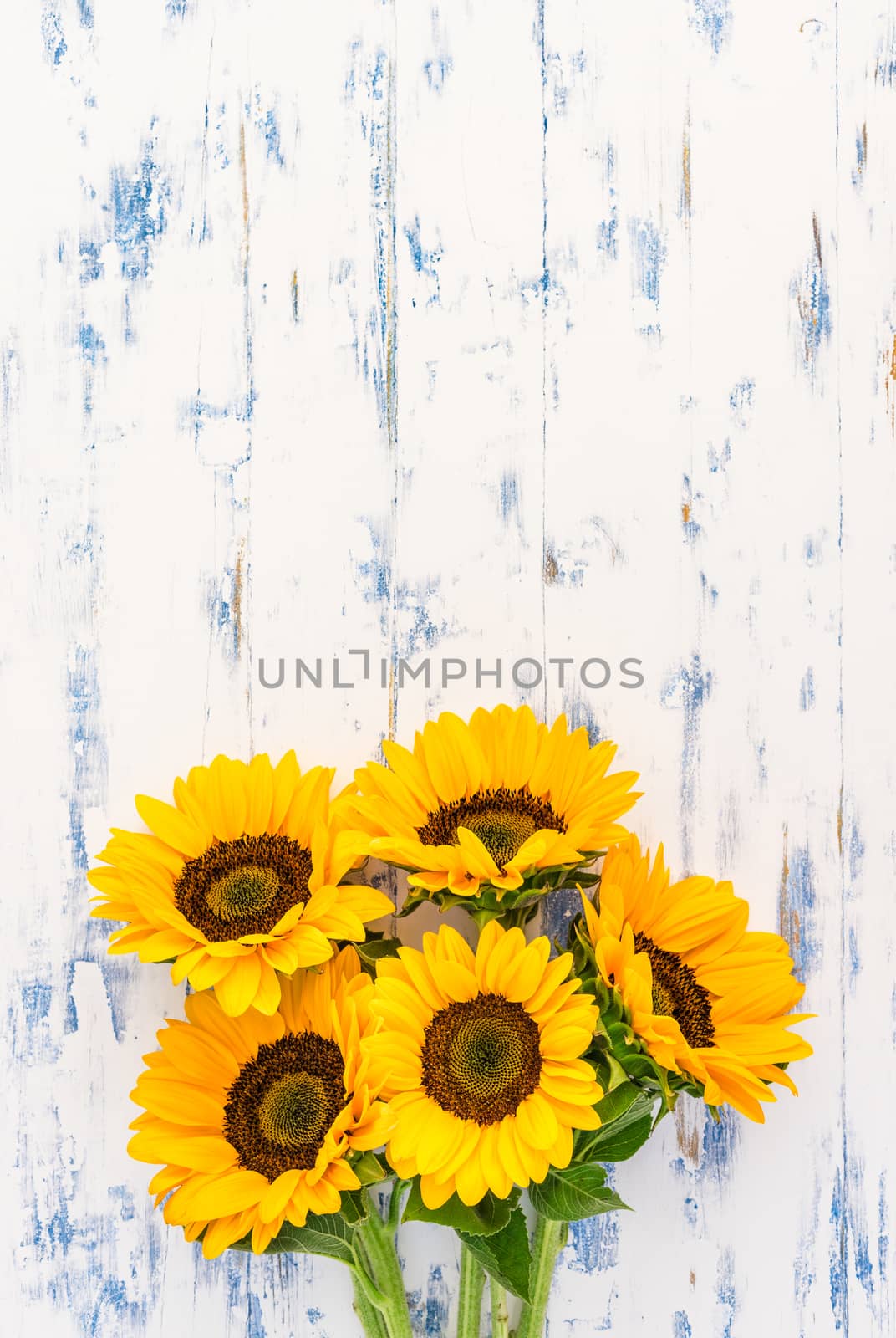 Bouquet of yellow summer flowers, on rustic wooden background with copy space