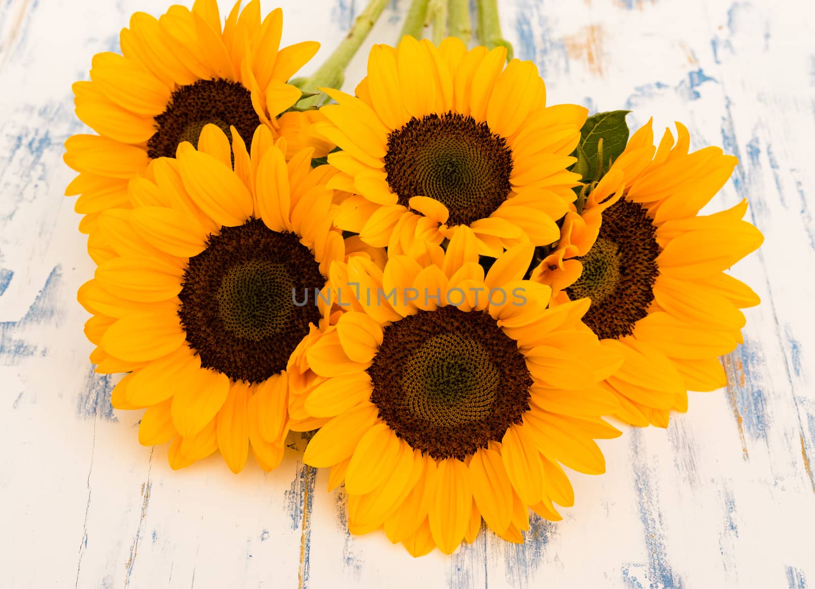 Close-up of yellow sunflowers arrangement on wooden background