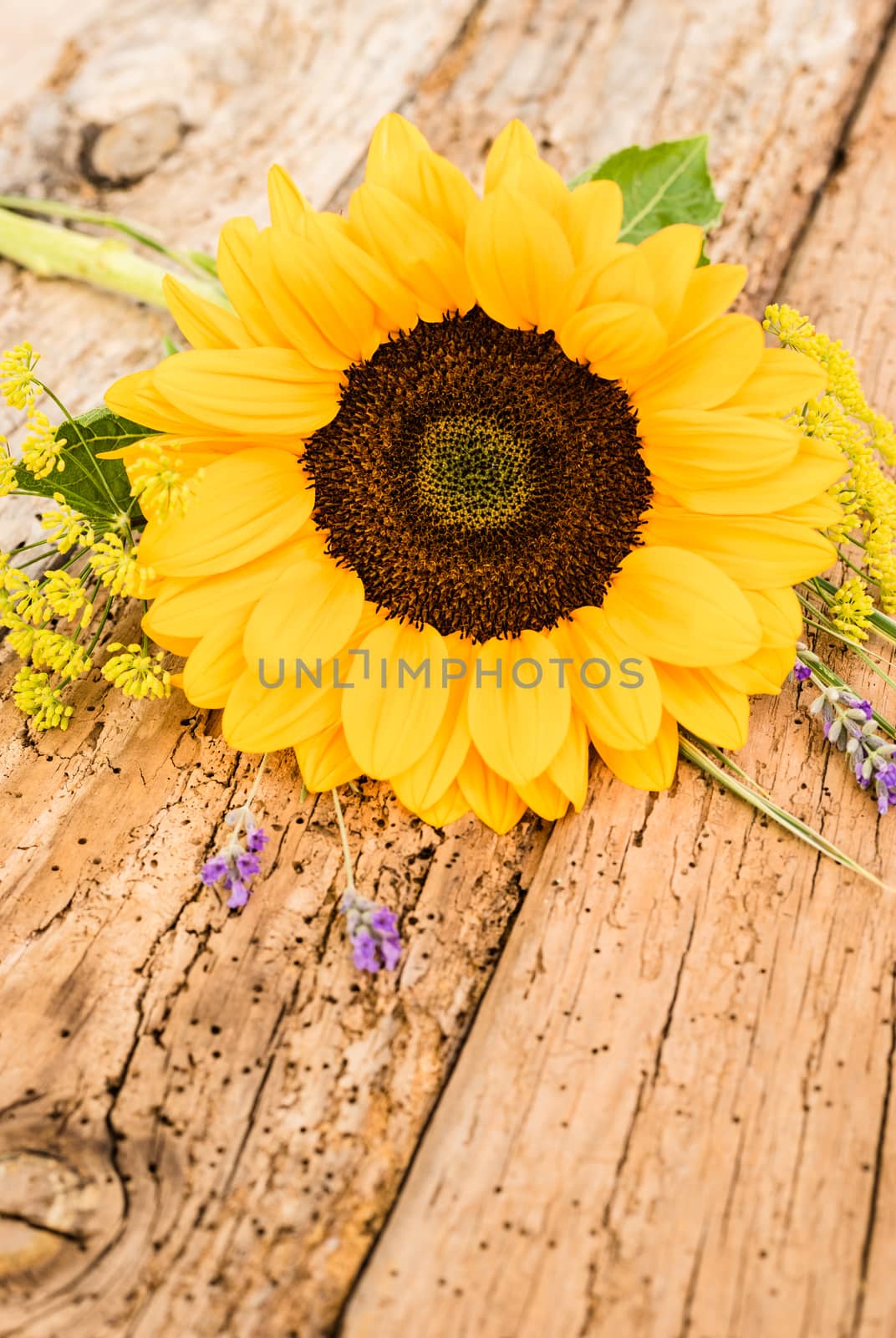 Bunch of flowers with beautiful yellow sunflower