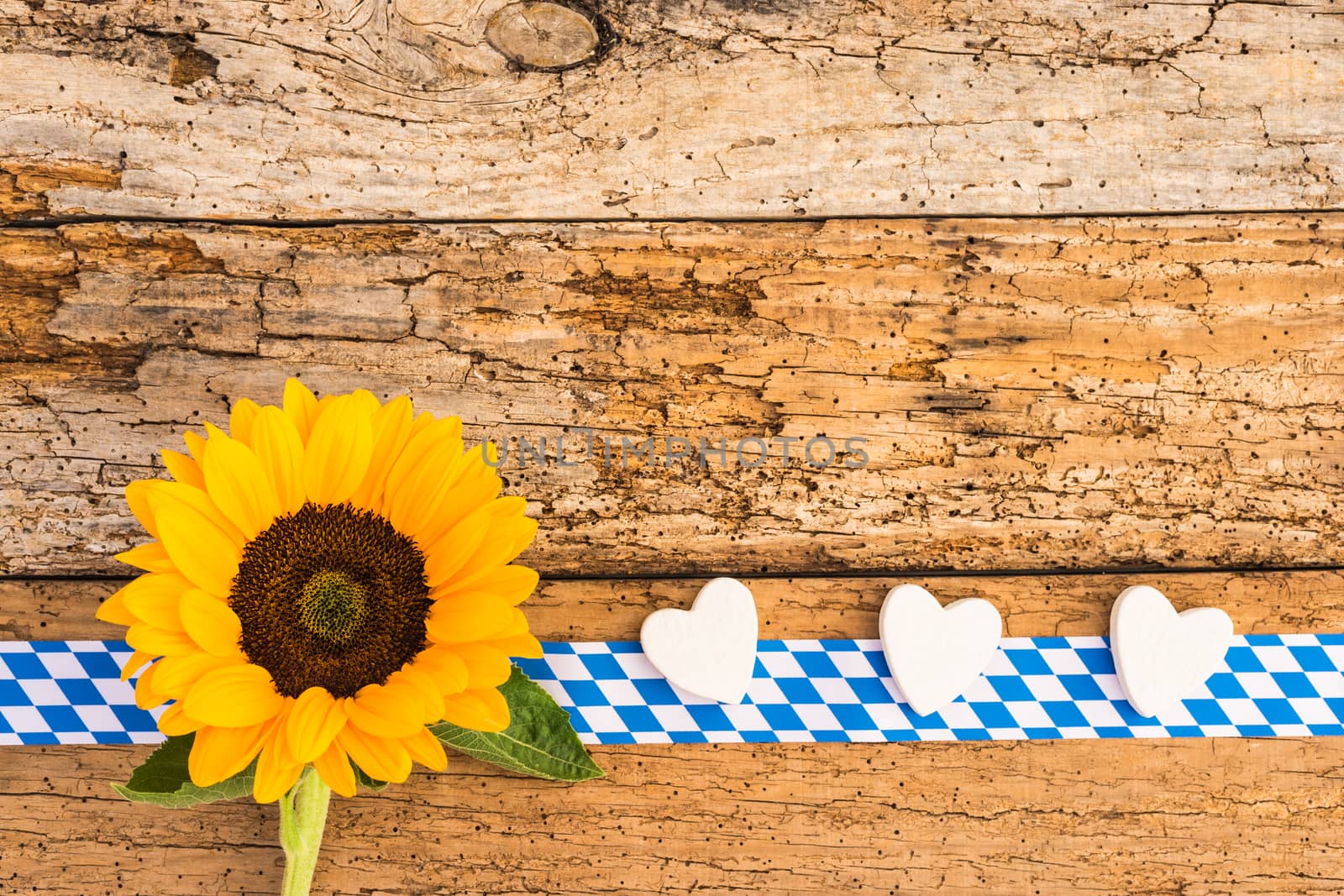 Old wooden planks background with autumn flower and hearts for bavarian Oktoberfest
