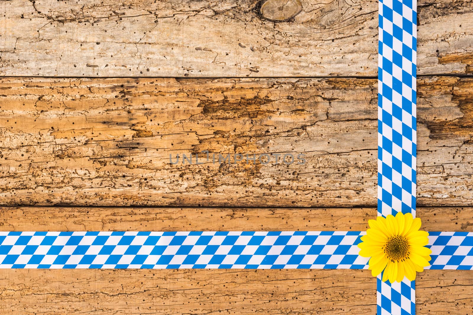 Background for Oktoberfest with bavarian pattern and yellow autumn sunflower