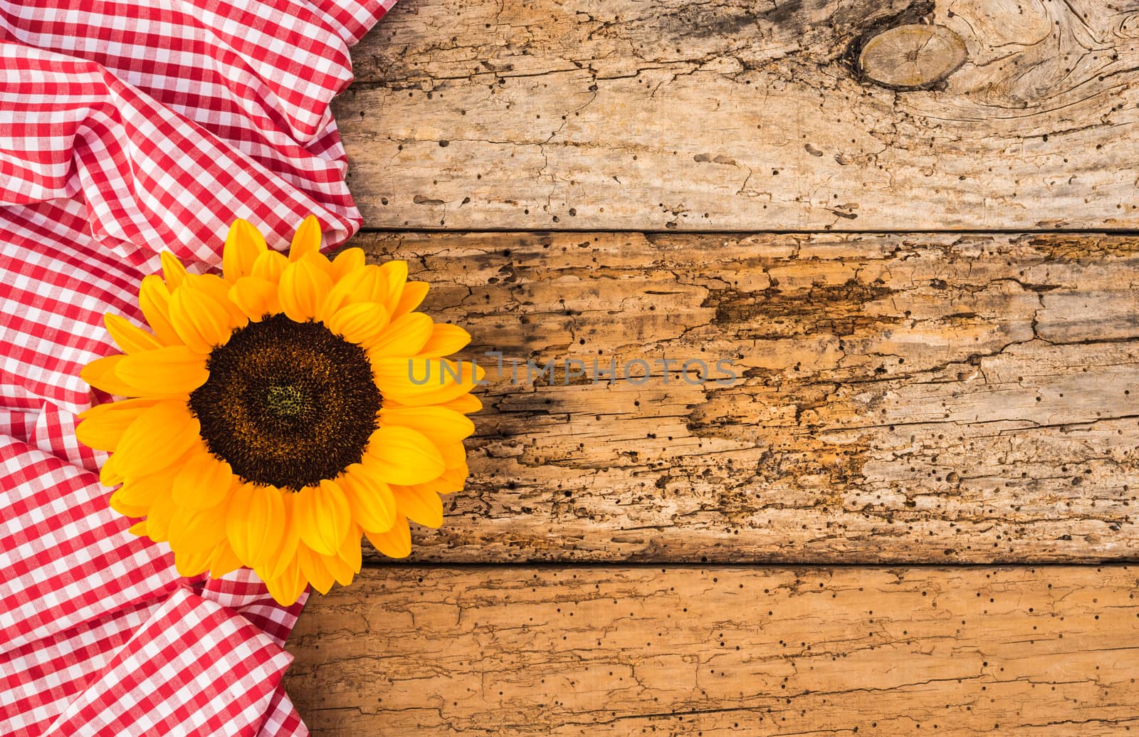 Red checked table cloth with yellow flower on old rustic wood background and copy space