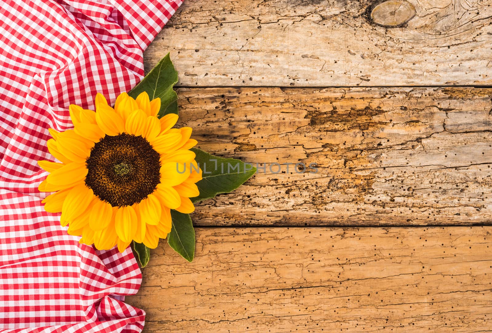 Beautiful sunflower decoration on rustic wood with copy space