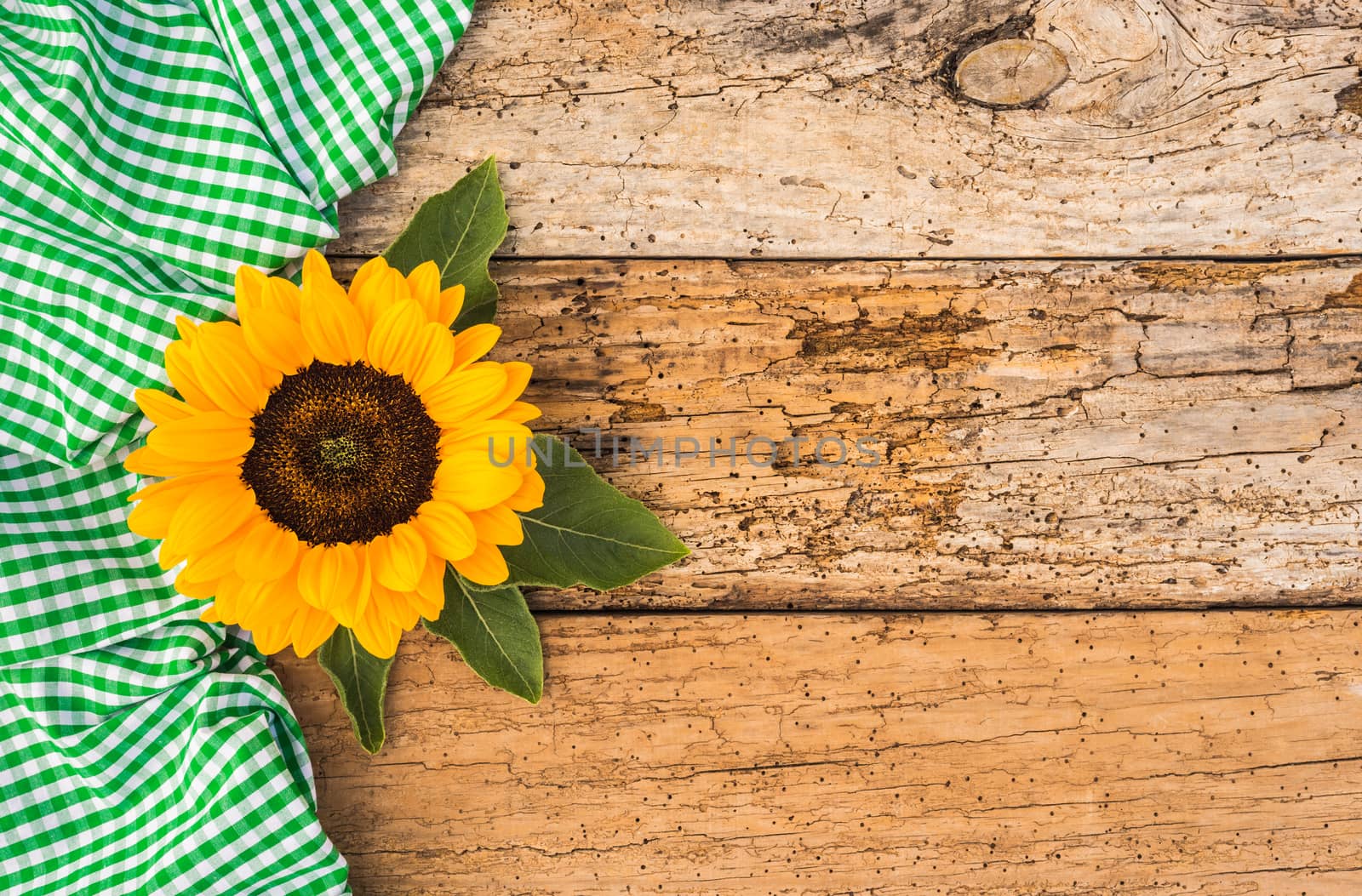 Yellow sunflower with green rustic fabric on old wood with copy space