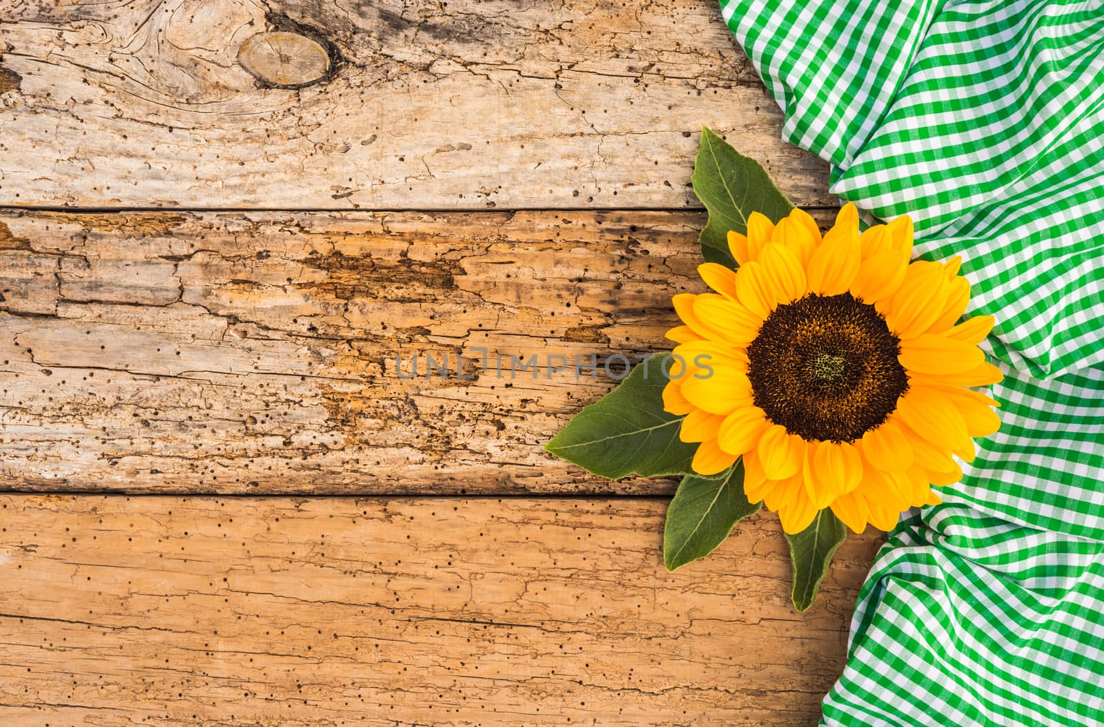 Yellow sunflower on rustic wood background with green fabric and copy space