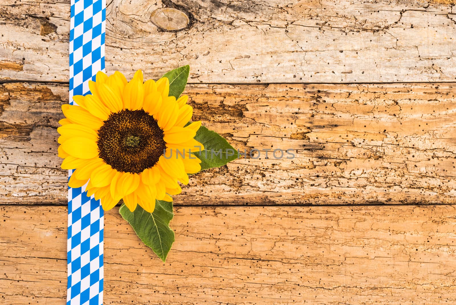 Oktoberfest Germany Bavaria background with blue white pattern, sunflower and copy space