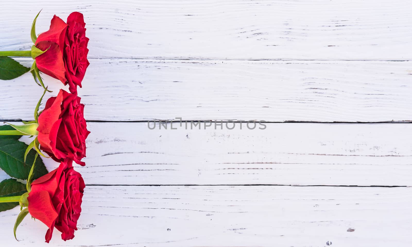 Frame of red rose flowers on white wood with copy space