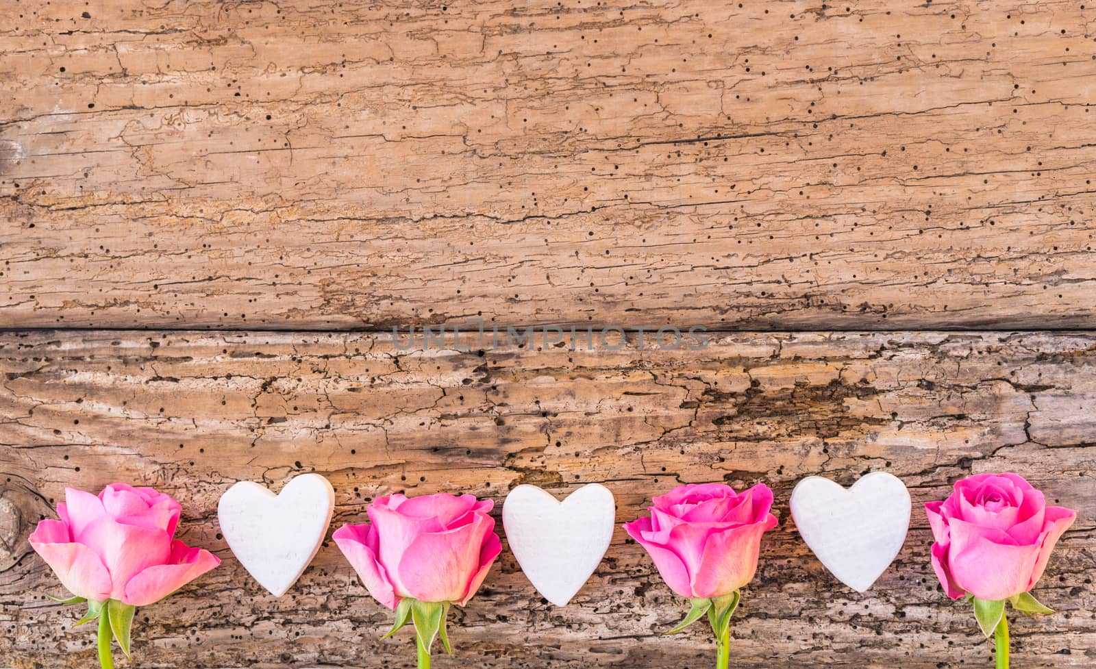 Valentines day background with pink roses and hearts by Vulcano