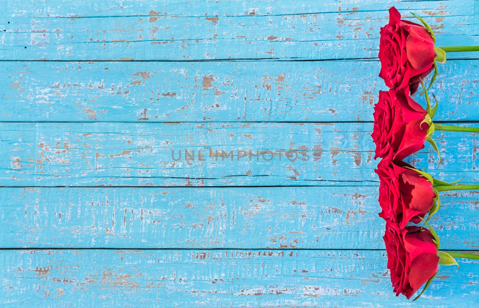 Romantic red roses side border on blue wood with copy space
