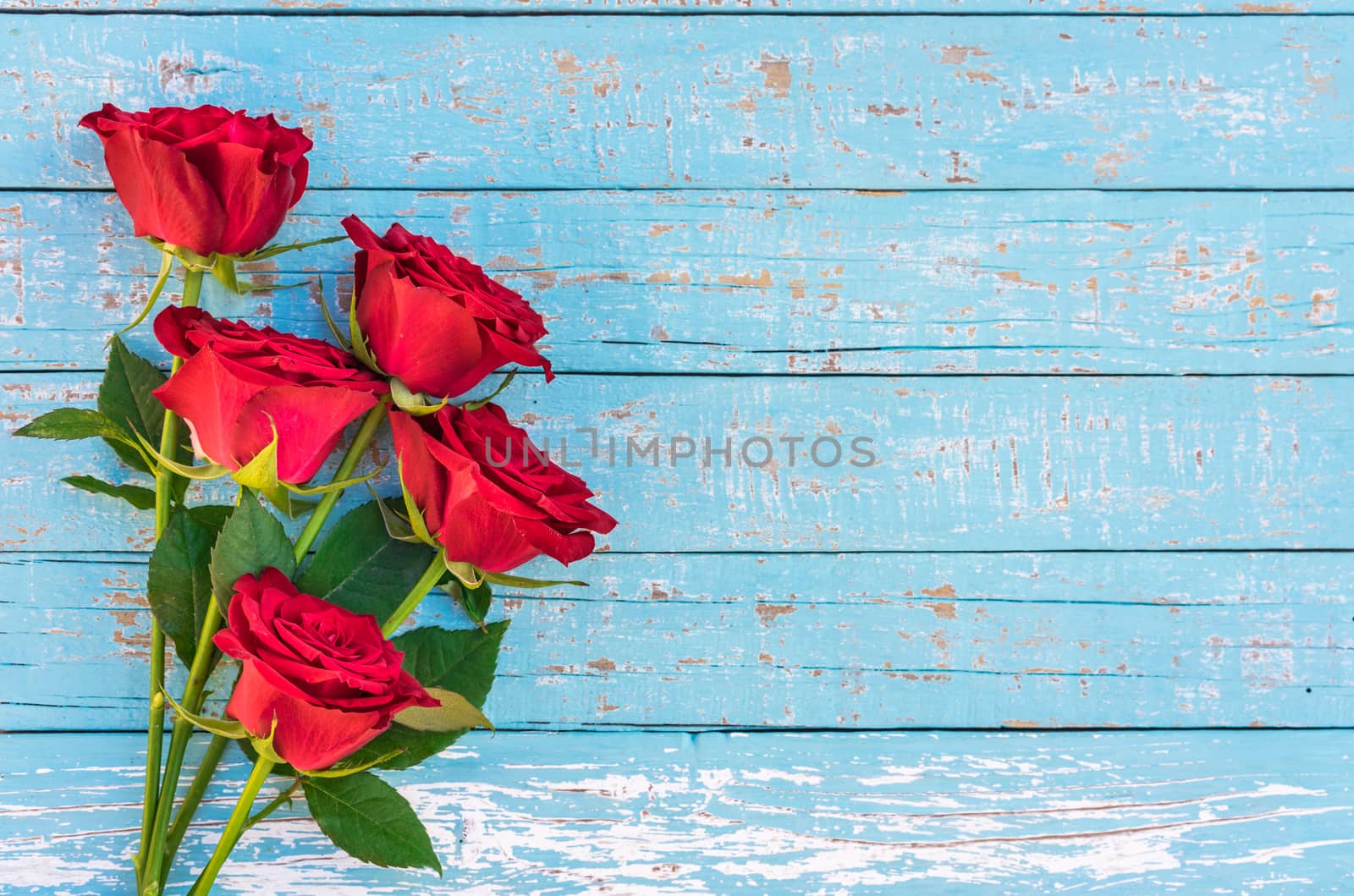 Bunch of red roses on blue wooden background with copy space