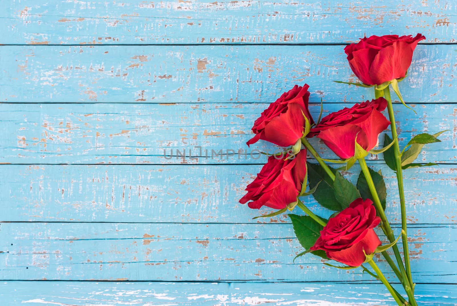 Romantic rose flowers arrangement on blue wooden background with copy space