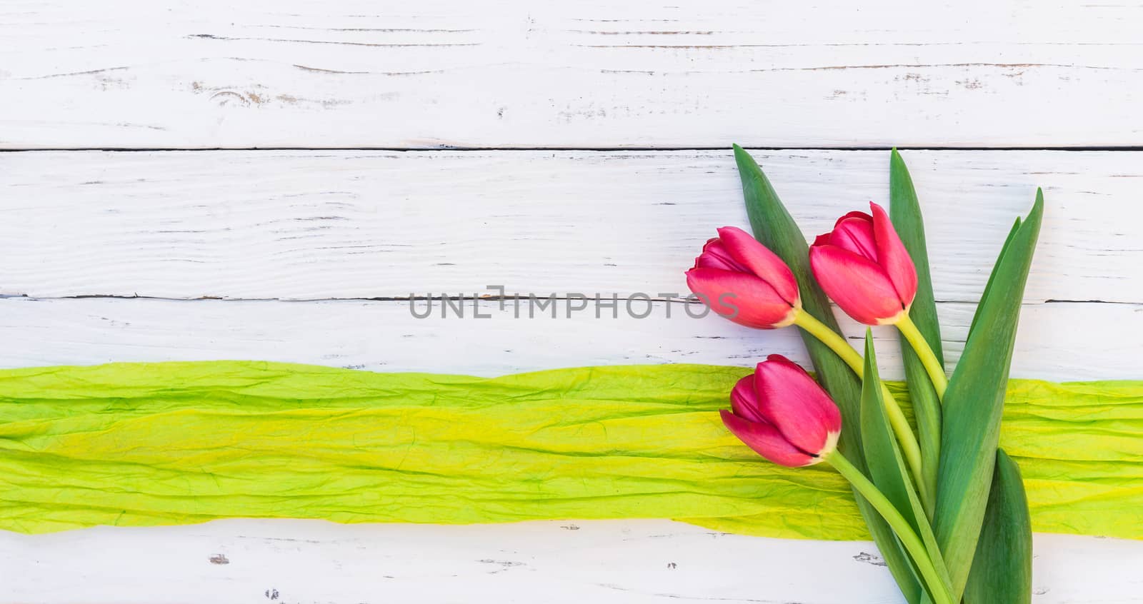Bunch of red tulip flowers on white background with copy space