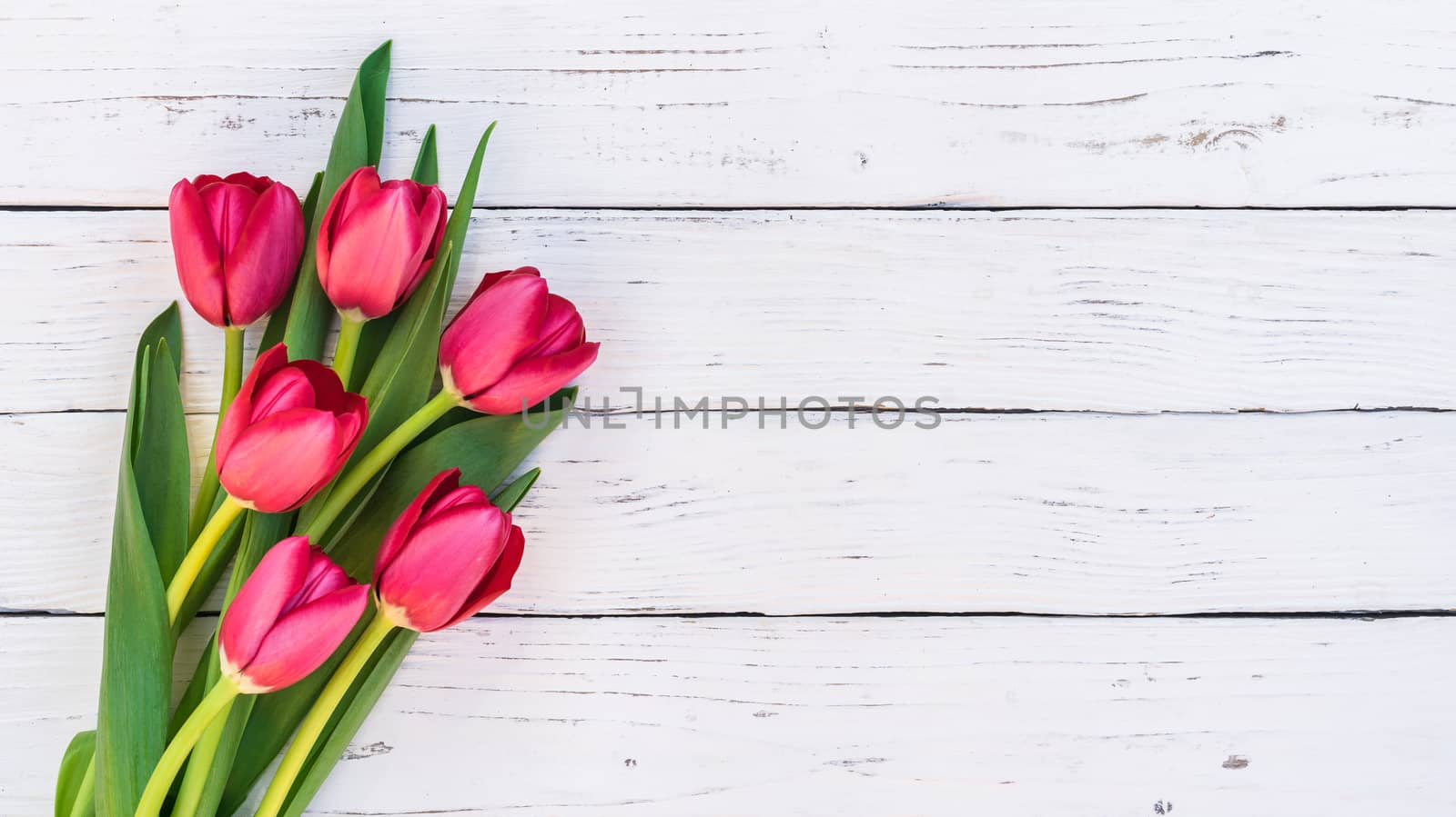 Spring flowers bouquet with red tulips on white wooden background with copy space
