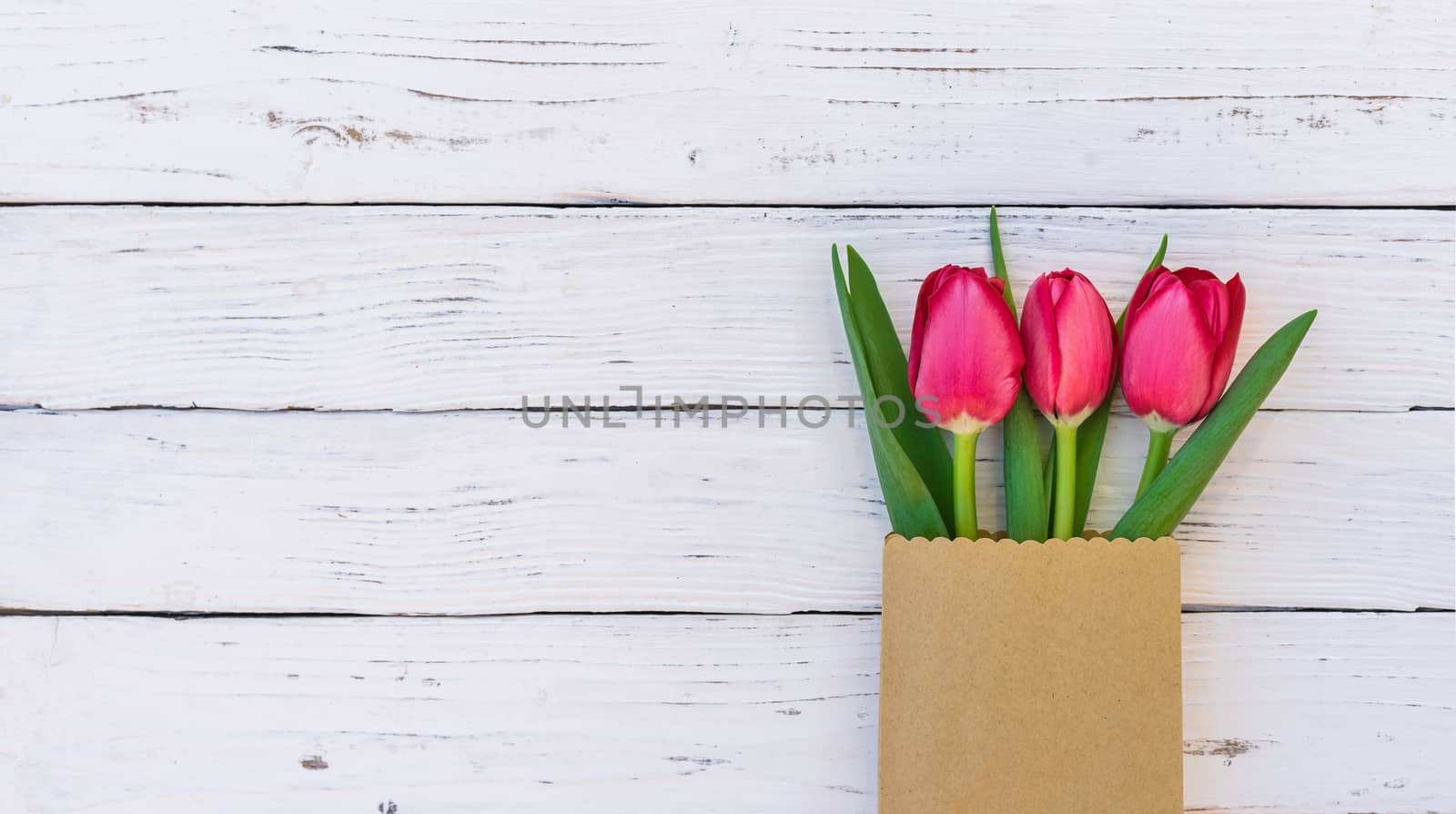 Arrangement of red tulip flowers on white wood background with copy space