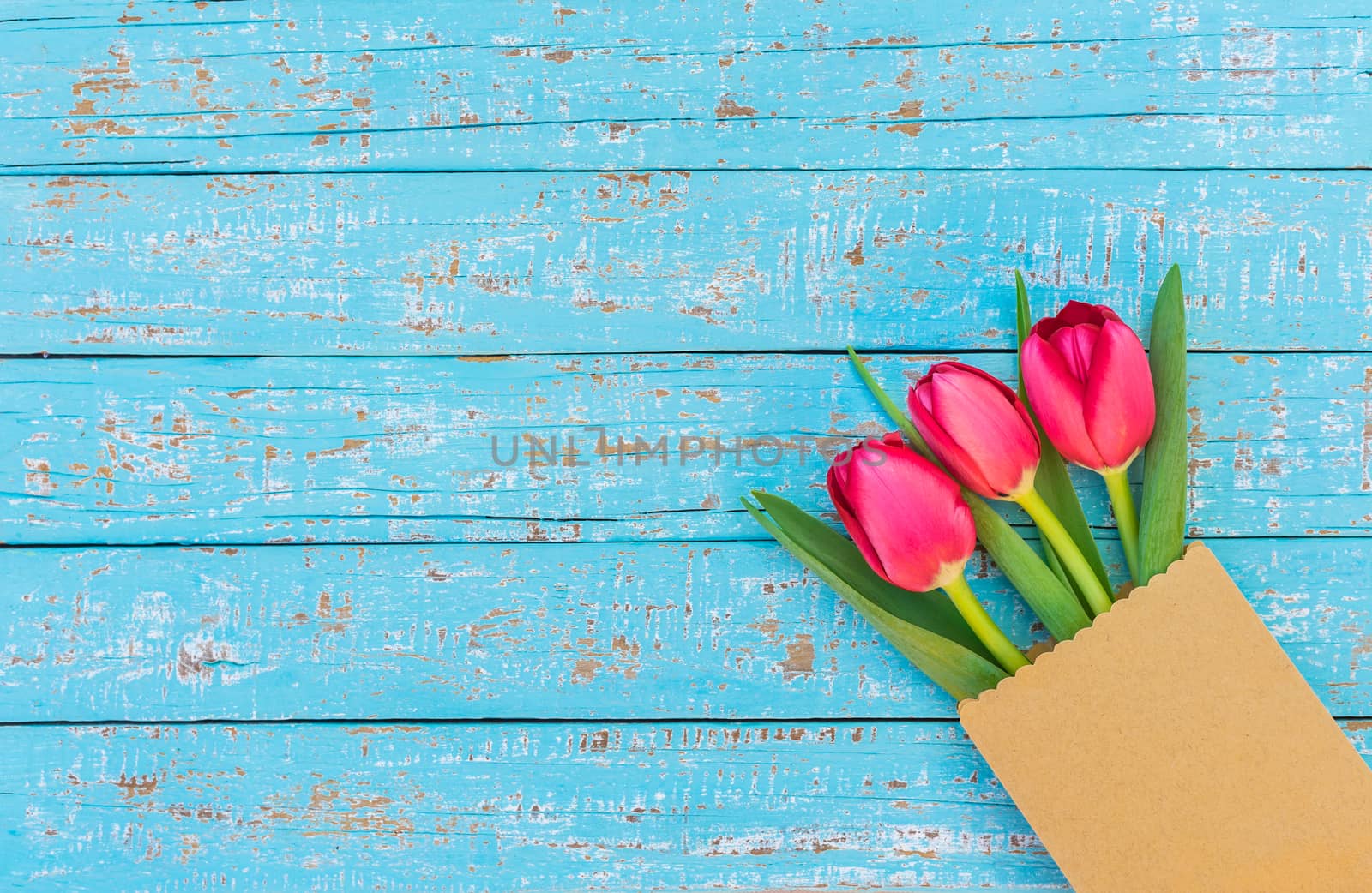 Red tulip spring flowers in paper bag on turquoise wood with copy space