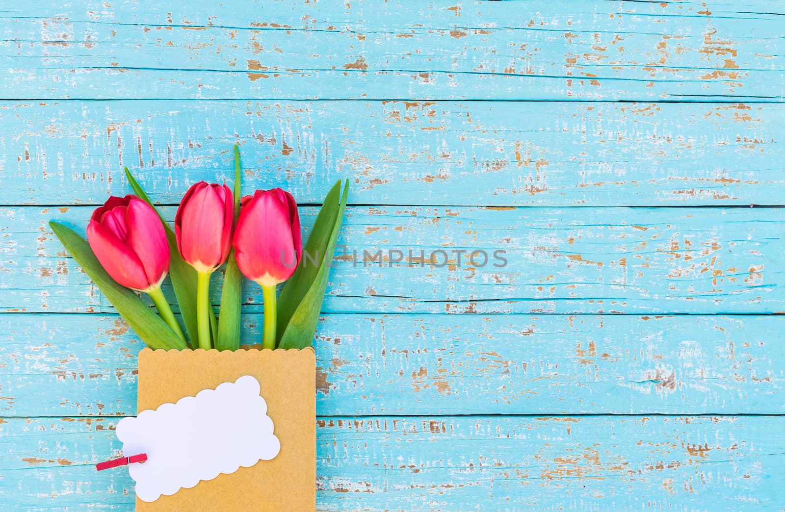 Red tulip spring flowers bunch with empty label on blue wooden background