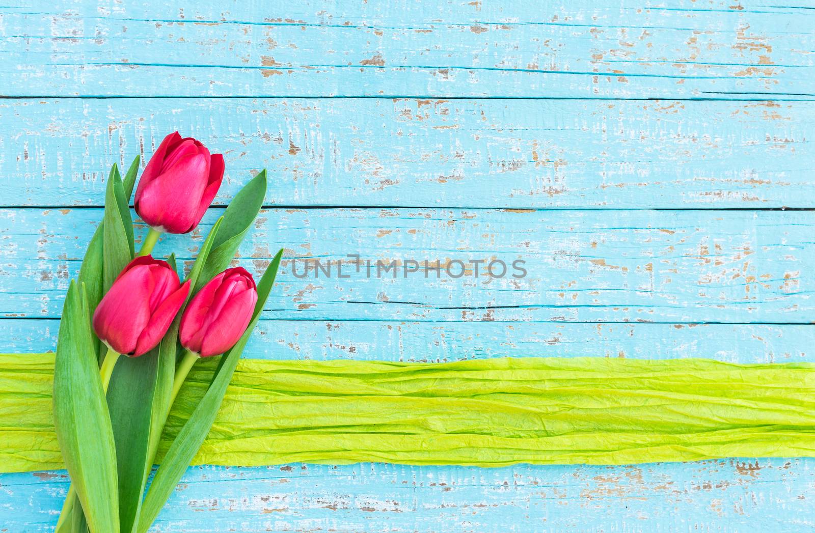 Bouquet of flowers with red tulips on blue wooden background by Vulcano