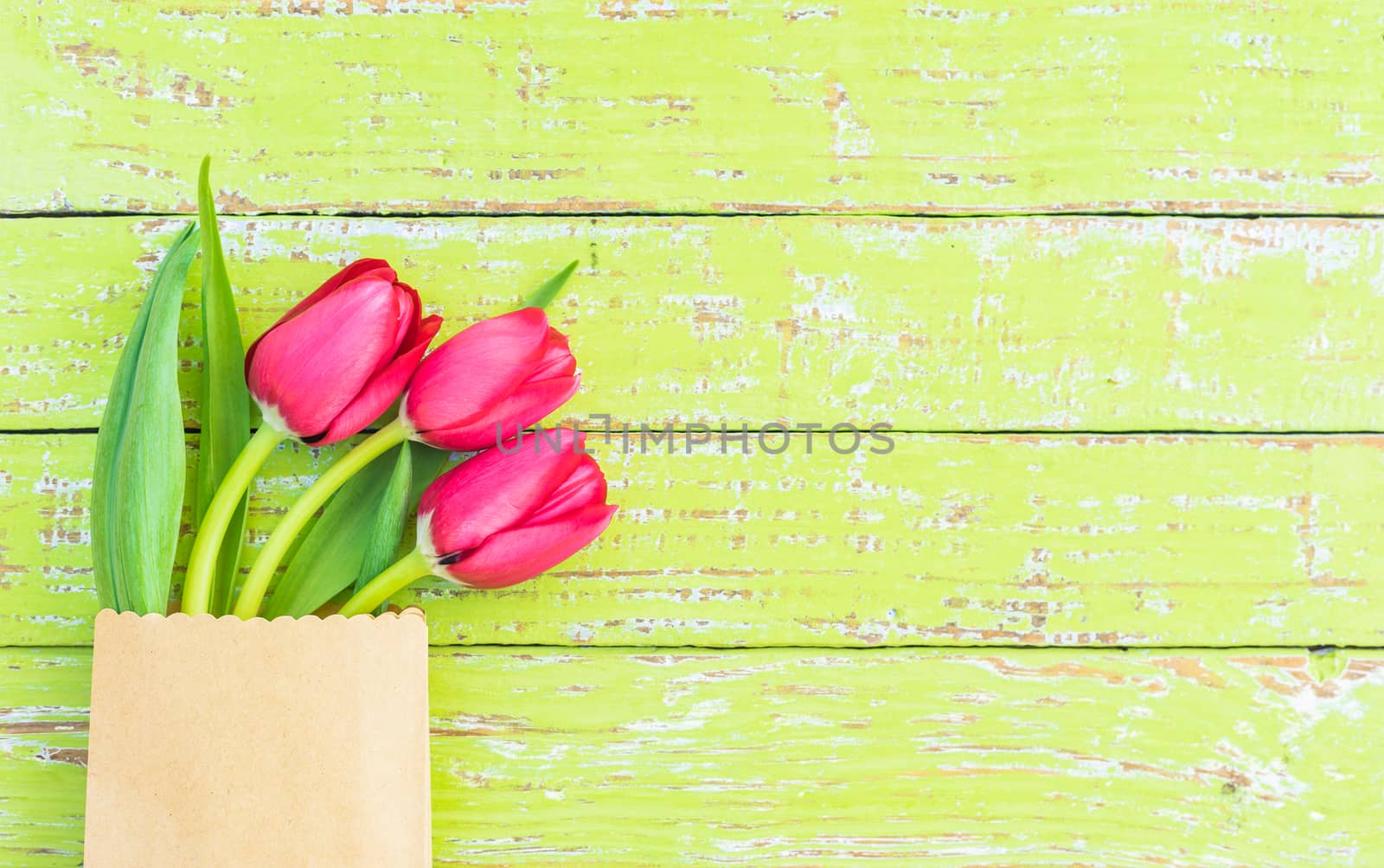 Red tulip spring flowers on green wooden background with copy space