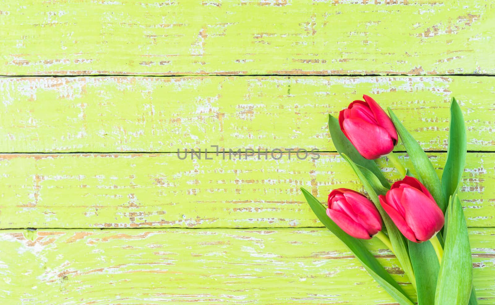 Bunch of flowers with red tulips on green wooden background with copy space