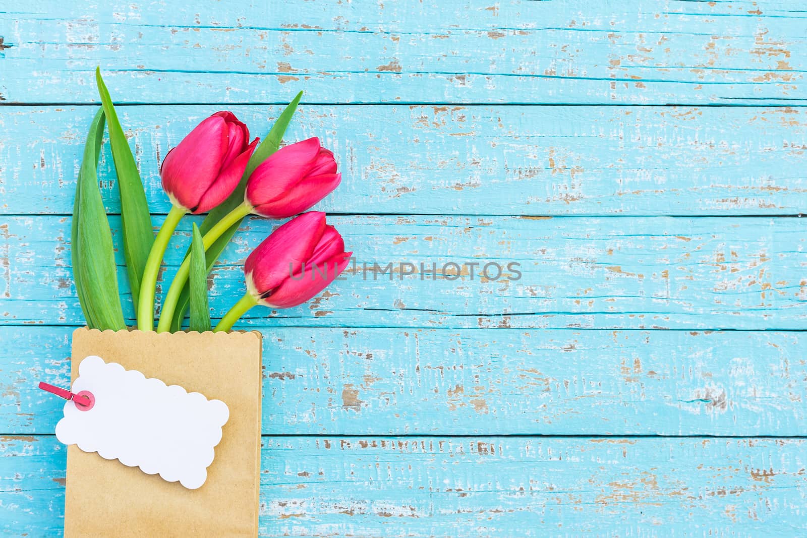 Red tulip spring flowers with empty tag on blue wooden background
