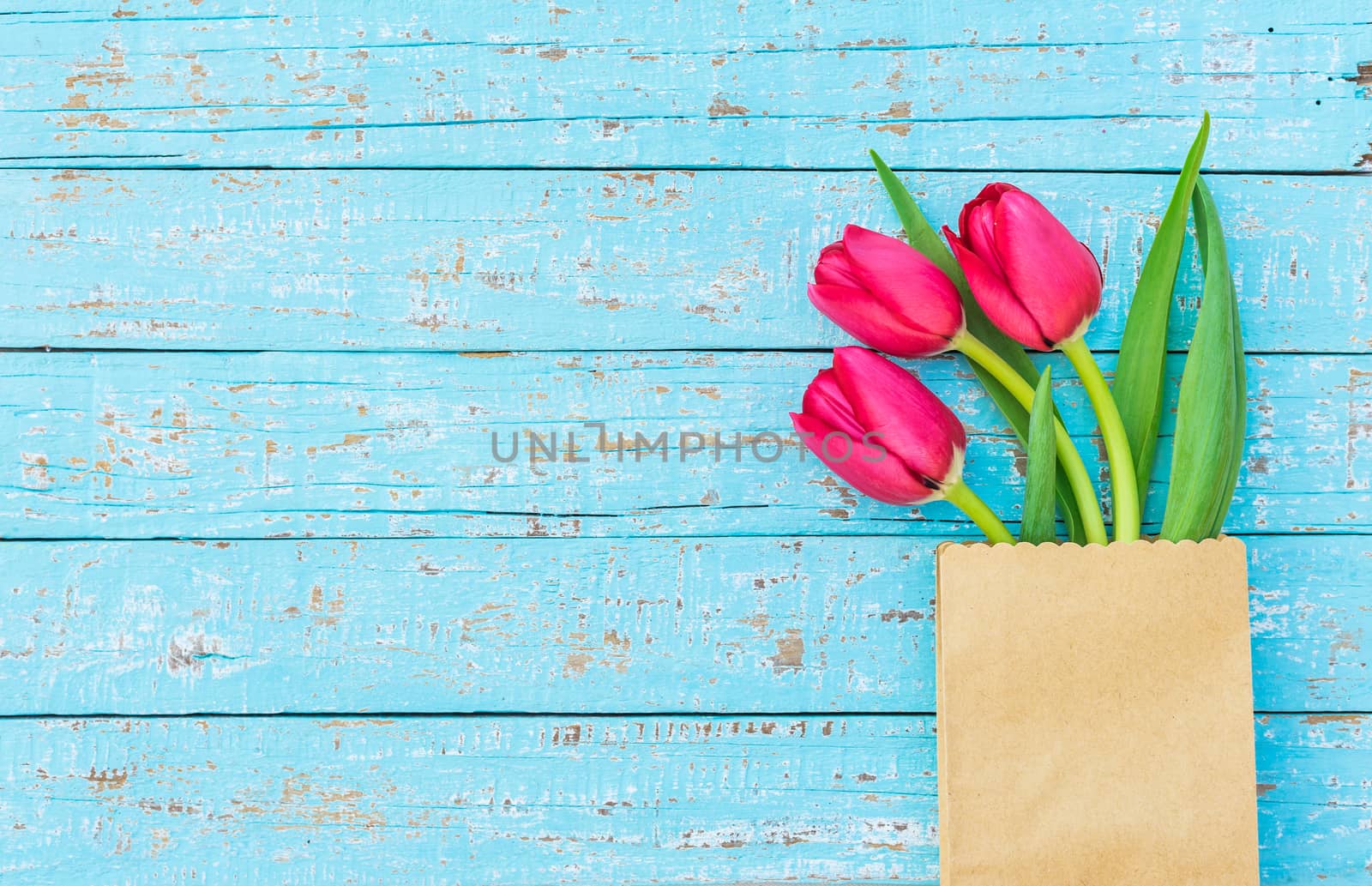 Fresh red tulips arrangement on blue wooden background with copy space