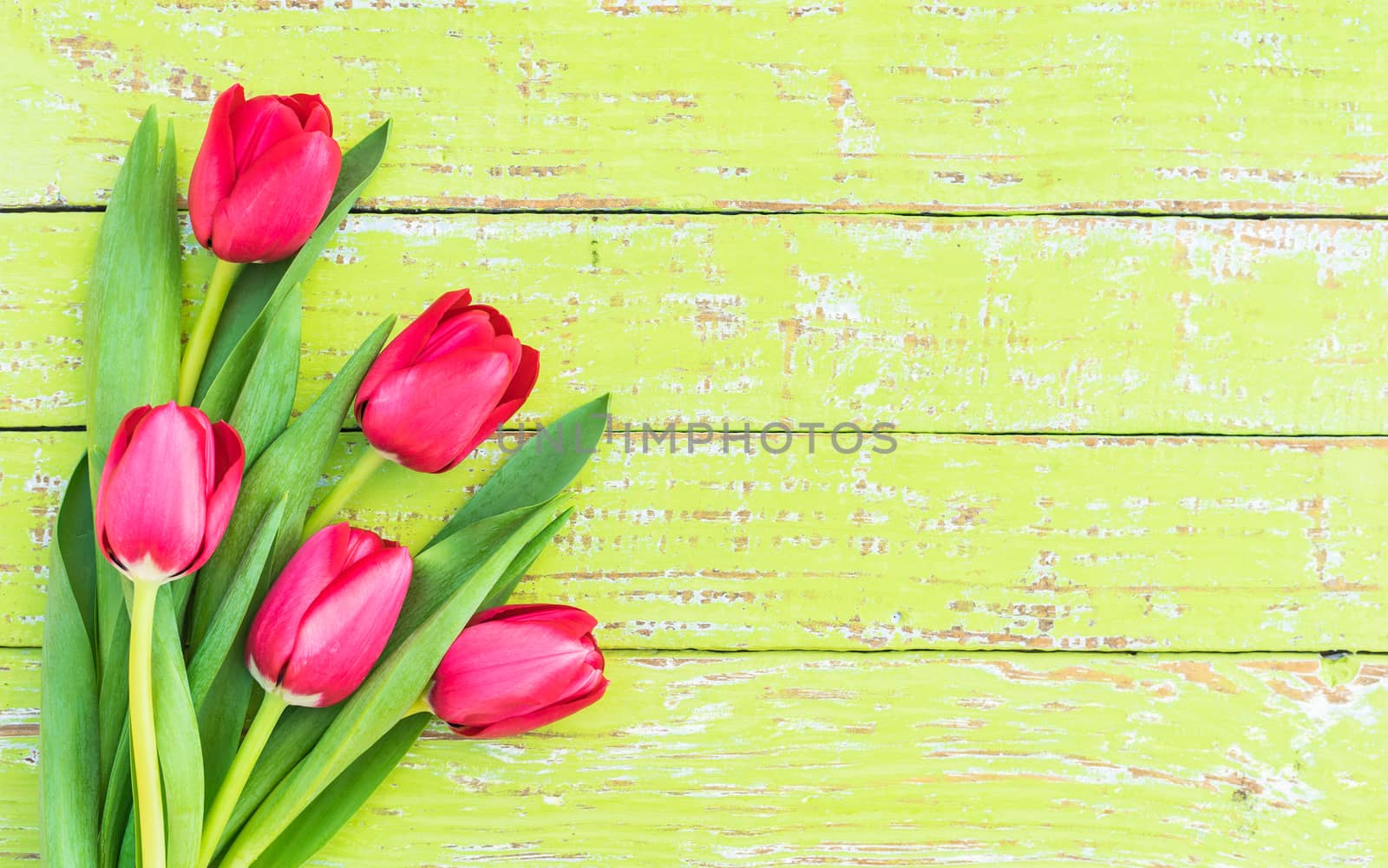 Bouquet of tulips on green wood with copy space for text