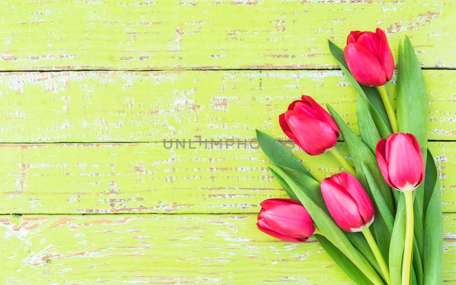 Flowers arrangement with red tulips on green wooden background with copy space