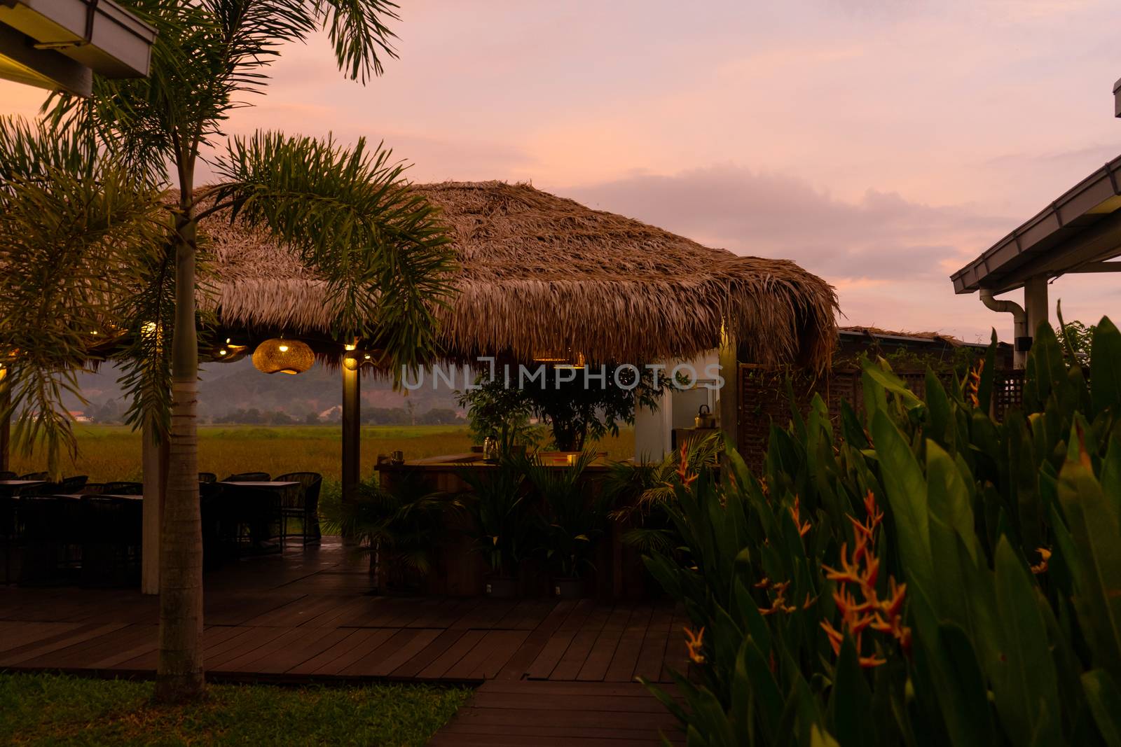 Beautiful pink sunset in the tropics. Street canopy from hay, kitchen area with rice field view.