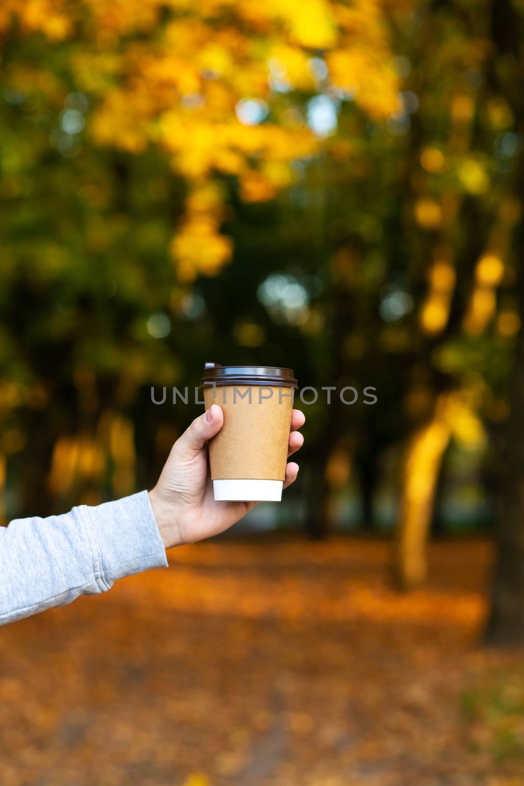 Walk with a cup of hot cocoa in the autumn park. by Try_my_best