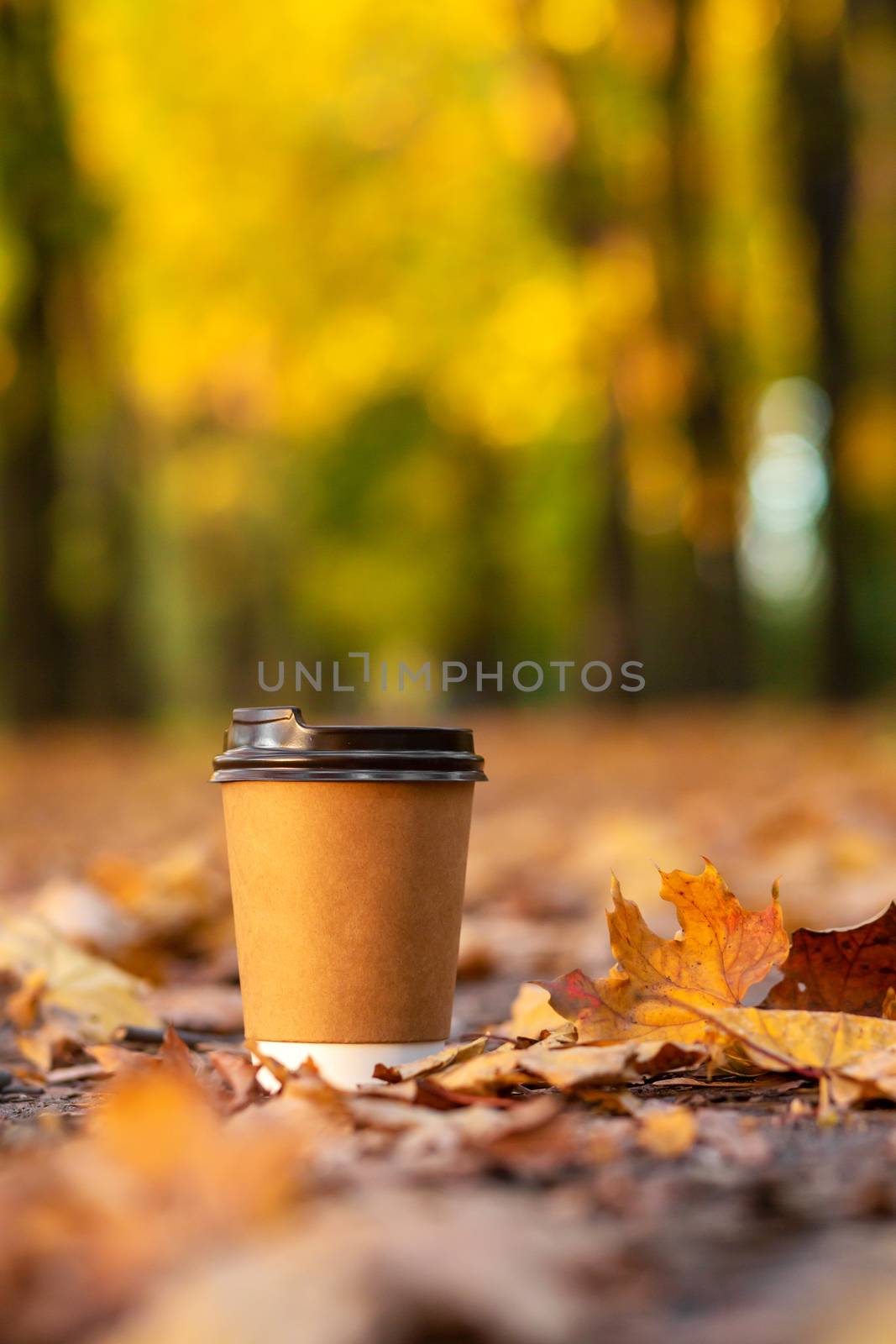 Walk with a cup of hot cocoa in the autumn park. Craft cup of coffee on the road with yellow fallen leaves.