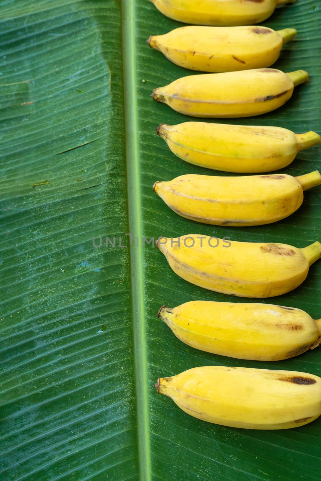 Flat lay layout of yellow bananas on a green banana leaf. Eco food by Try_my_best