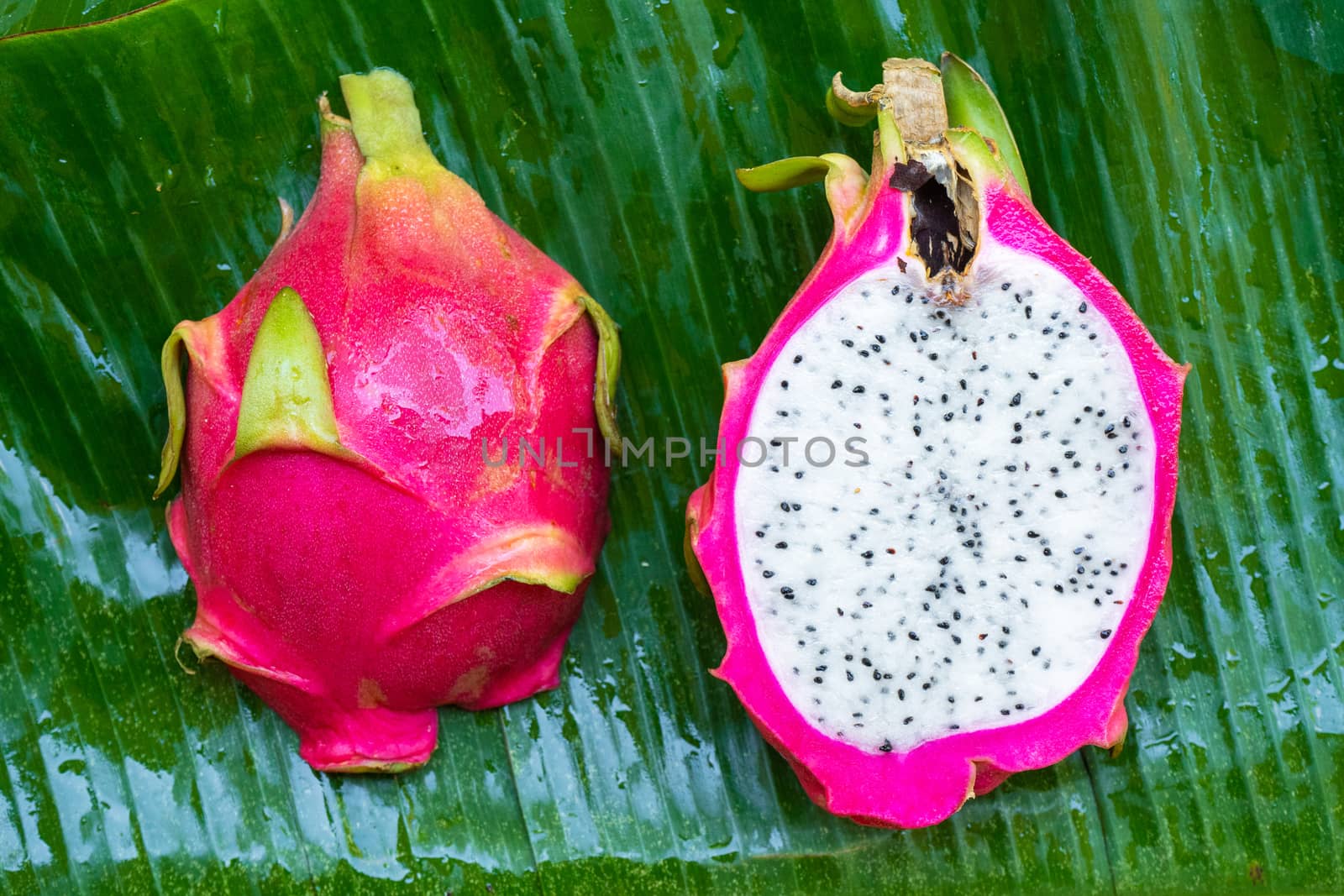 Ripe dragon fruit on a wet green leaf. Vitamins, fruits, healthy foods.