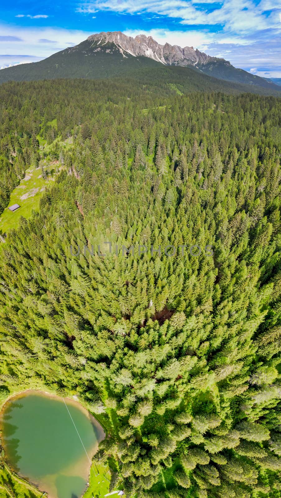 Alpin lake in summer time surrounded by beautiful forest, overhead downward aerial view.