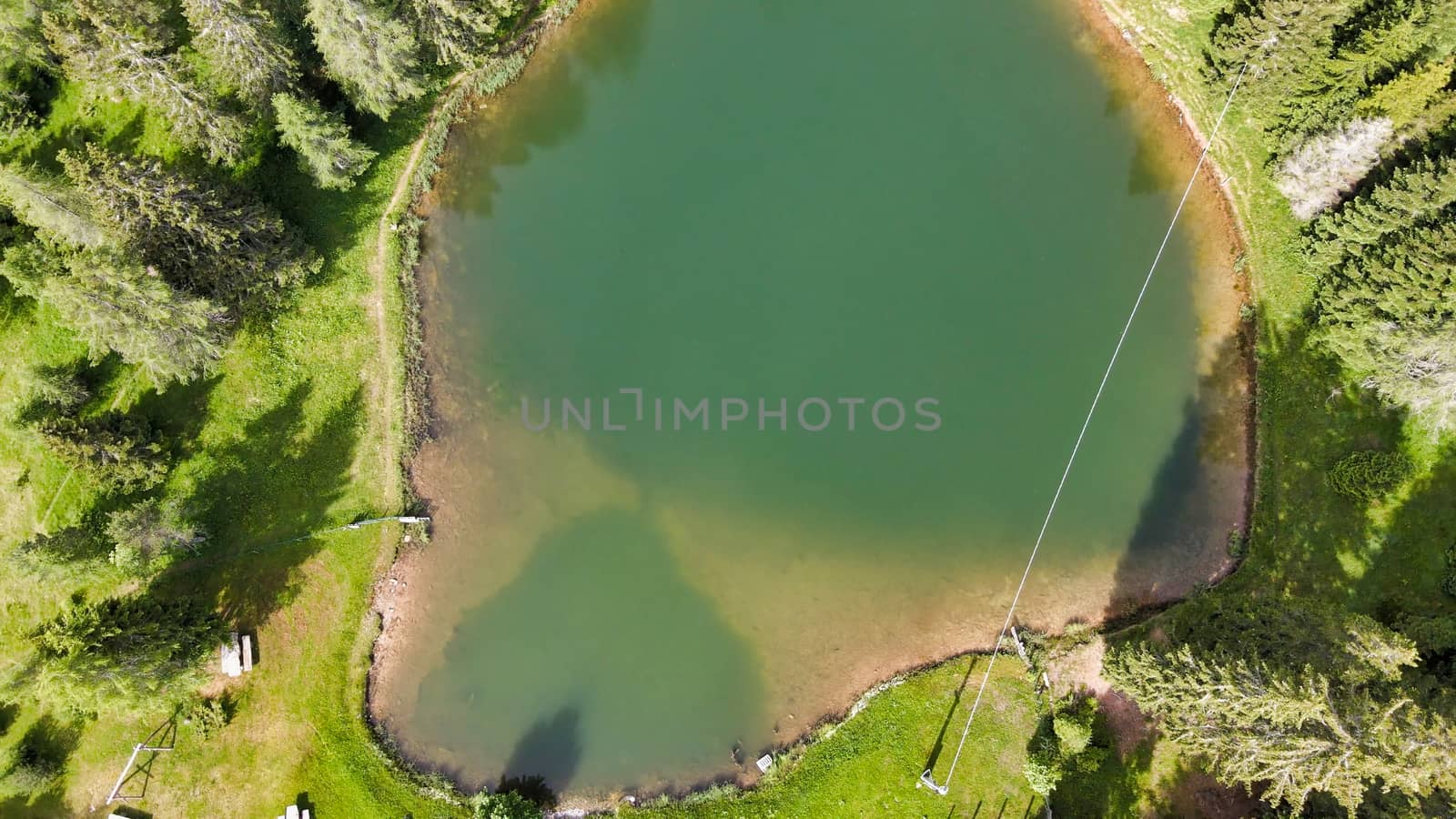 Alpin lake in summer time surrounded by beautiful forest, overhead downward aerial view.