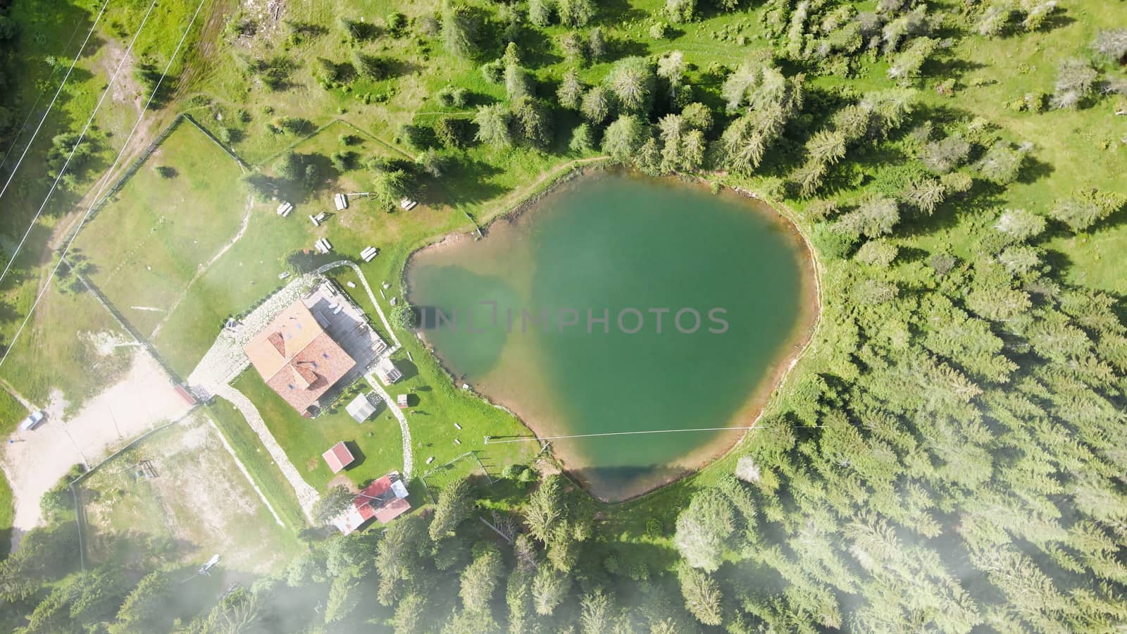 Alpin lake in summer time surrounded by beautiful forest, overhead downward aerial view.