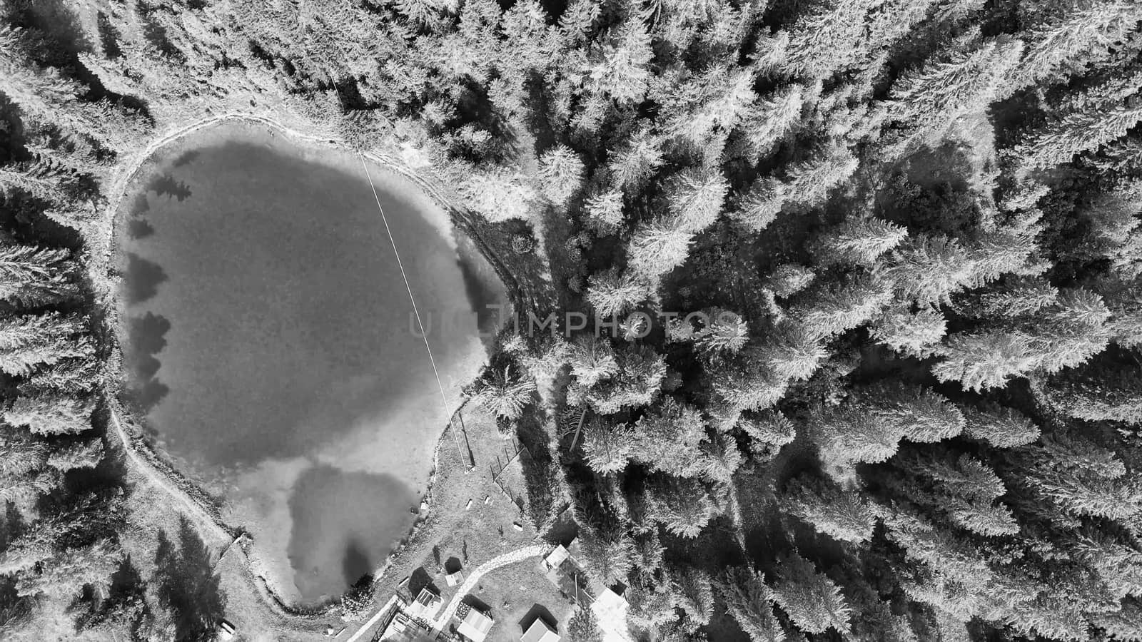 Alpin lake in summer time surrounded by beautiful forest, overhead downward aerial view.