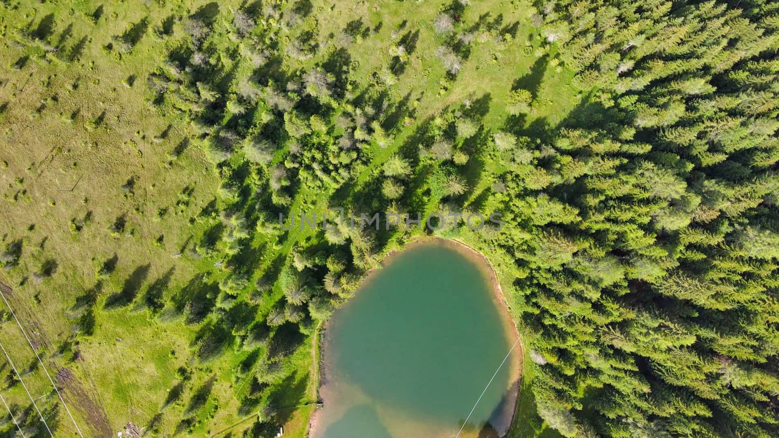 Alpin lake in summer time surrounded by beautiful forest, overhead downward aerial view.