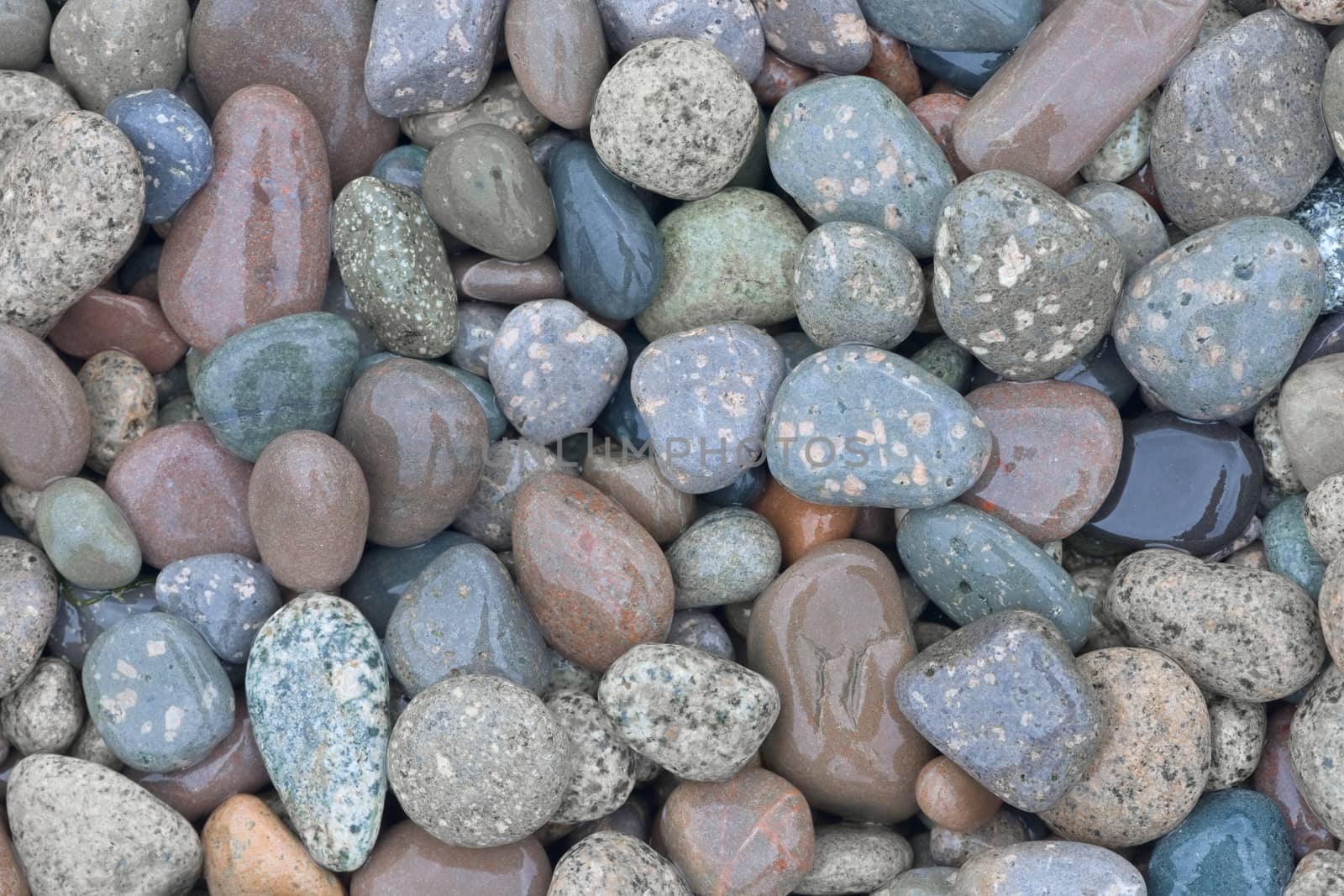 1 - Mottled and marbled stones and pebbles on a beach, wet from rain