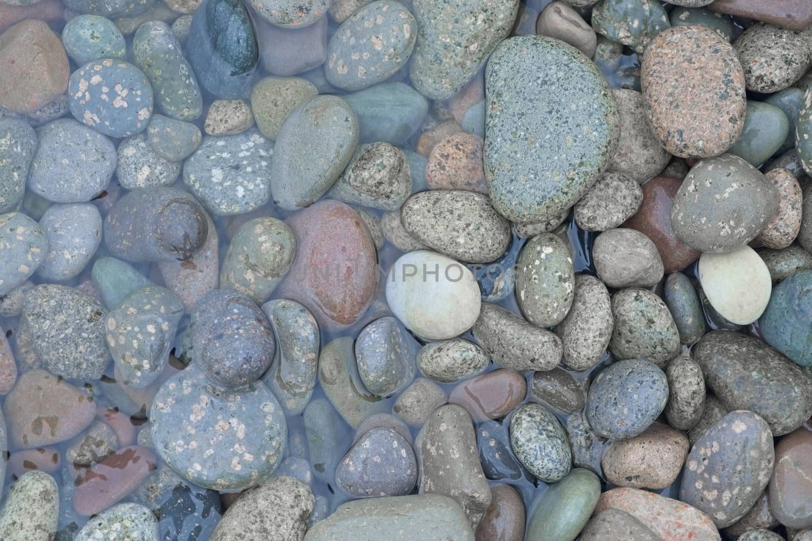 3 - Various sizes of pebbles with a small coating of algae are half submerged in the sea. Water and ocean background.