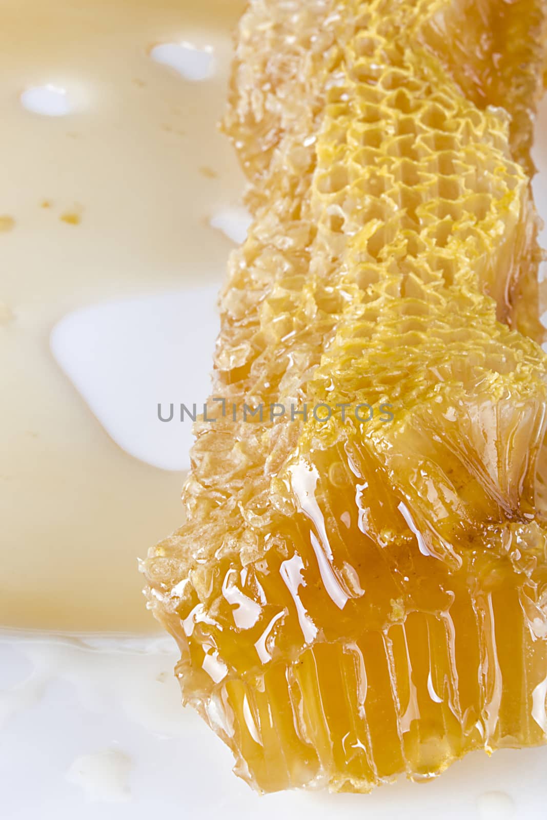 Honeycombs with honey by VIPDesignUSA