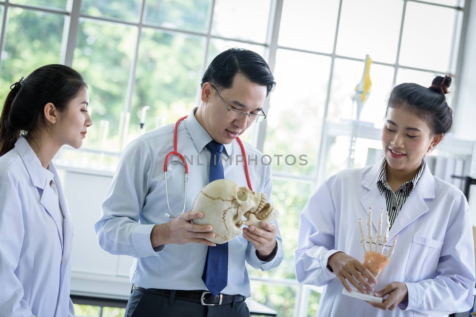 Asian teacher has teaching to student about science and anatomical in laboratory