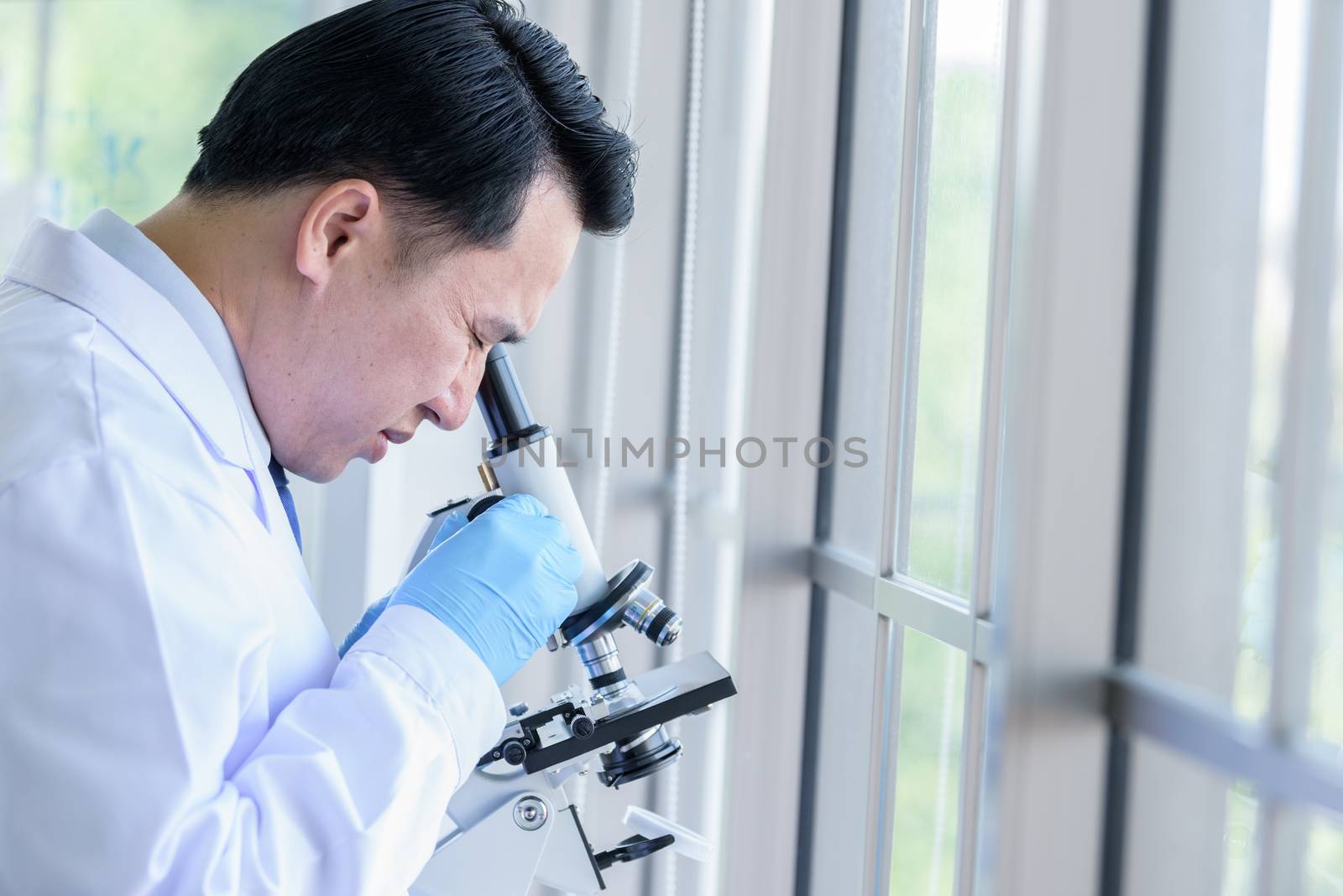 Asian senior scientist male researching and learning in a laboratory.