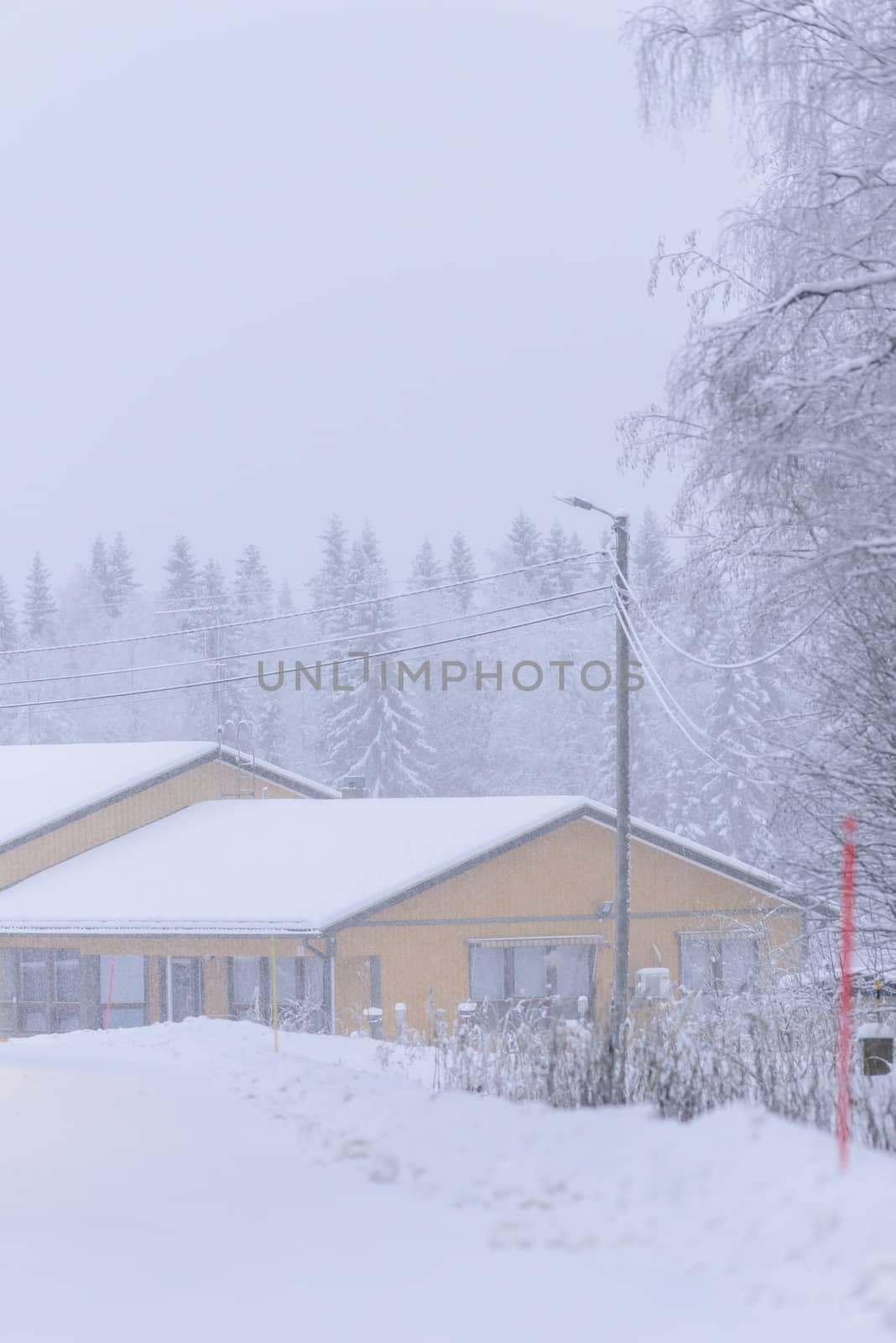 The house in the forest has covered with heavy snow and bad sky  by animagesdesign