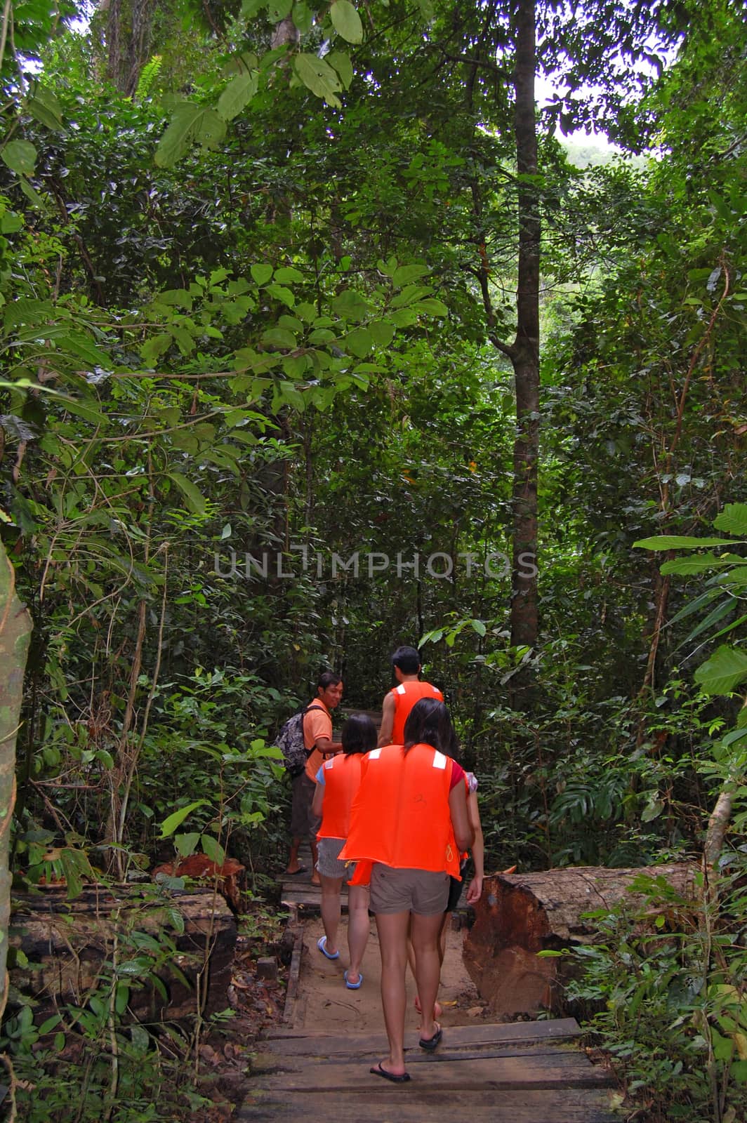 Puerto Princesa Subterranean river national park underground riv by imwaltersy