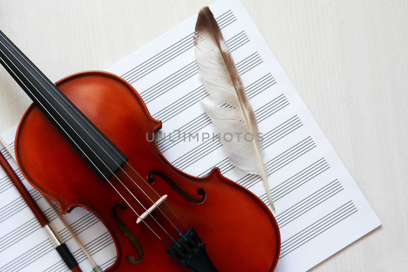 Nice violin and feather on open blank music book