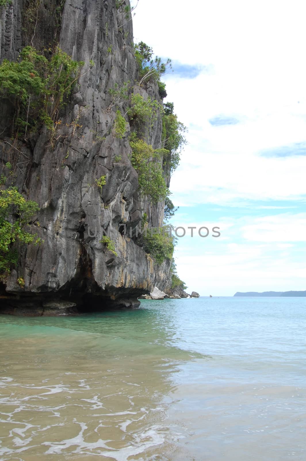 Limestone rock formation with trees and sea at Puerto Princesa,  by imwaltersy